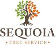 sequoia-tree-service